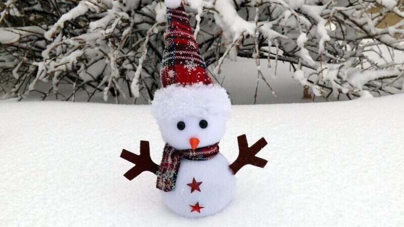 RDLP: Bałwaniada – konkurs leśnych bałwanów