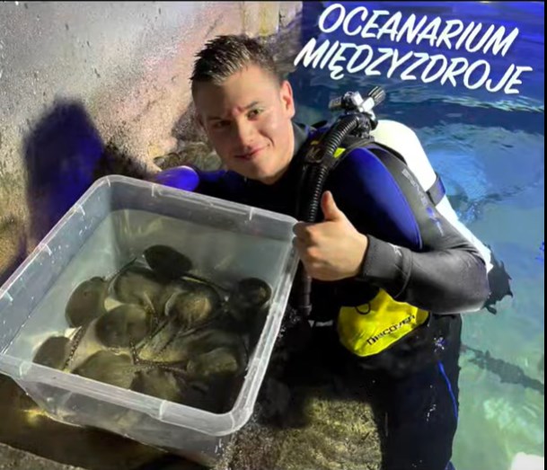 Międzyzdroje: Światowy rekord? 39 płaszczek przyszło na świat w Oceanarium