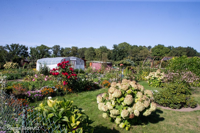 Stargard: Działkowcy mogą otrzymać 80 tys. zł od miasta