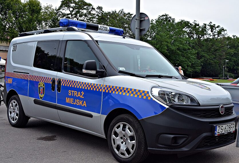 Szczecin: Łabędź poszedł w miasto