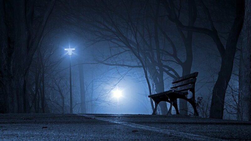 Nocna akcja reanimacyjna w Chojnie