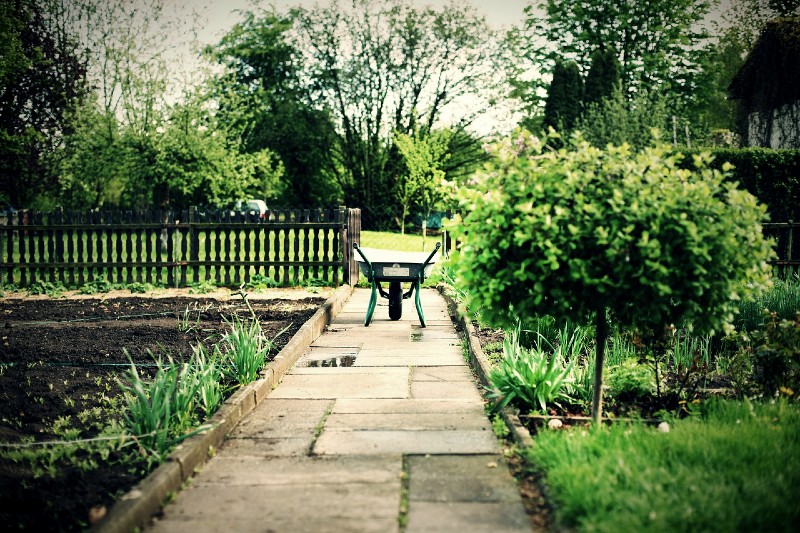 Szczecin: Włamywacz z ogródków działkowych stanie przed sądem