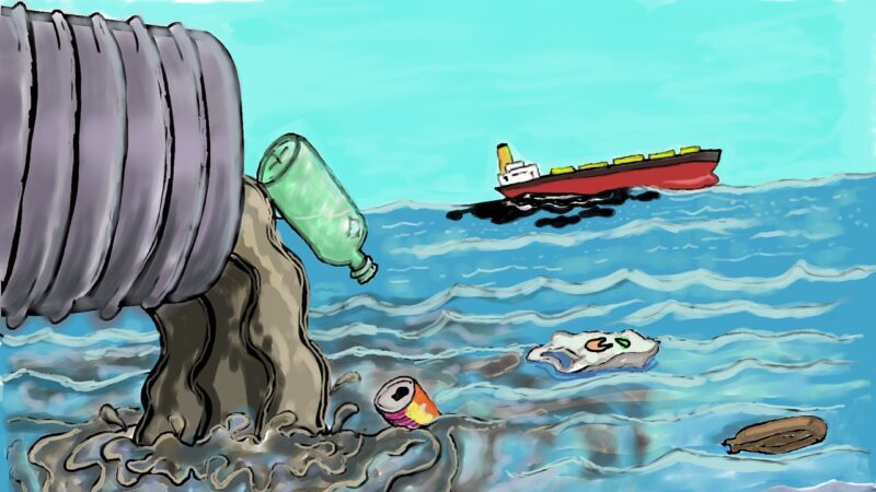 Barlinek: Wielkie porządki nad Jeziorem Barlineckim