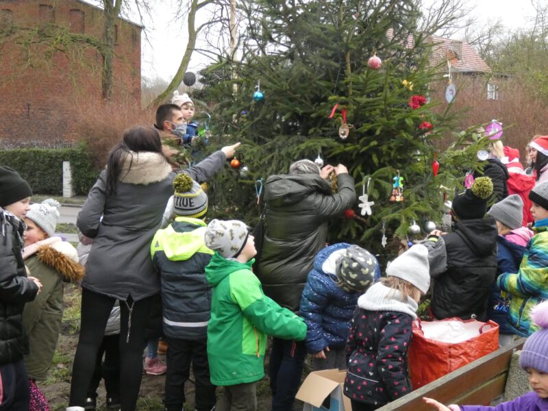 Szczecin: Północ wystroiła choinki
