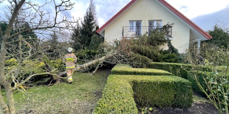 Zachodniopomorskie: Walka ze skutkami huraganu trwa