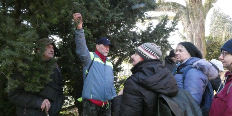 Rozpoznaj drzewa. Ruszyły spacery