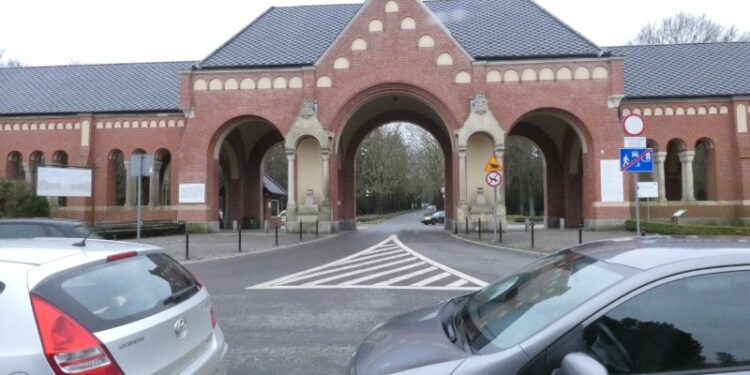 Szczecin: Katastrofalna sytuacja na Cmentarzu Centralnym