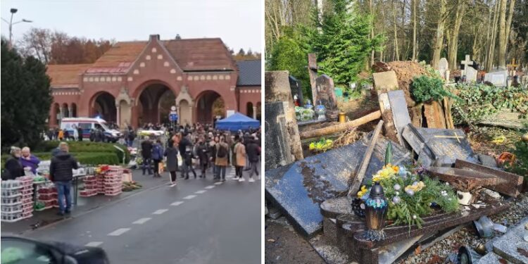 Cmentarz Centralny już otwarty!