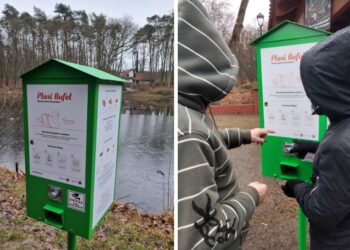 Jak prawidłowo dokarmiać ptaki? W Szczecinie pojawiły się automaty z pożywnym pokarmem