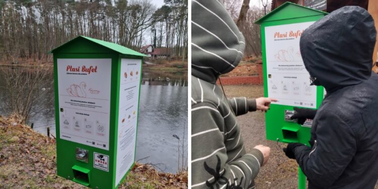 Jak prawidłowo dokarmiać ptaki? W Szczecinie pojawiły się automaty z pożywnym pokarmem