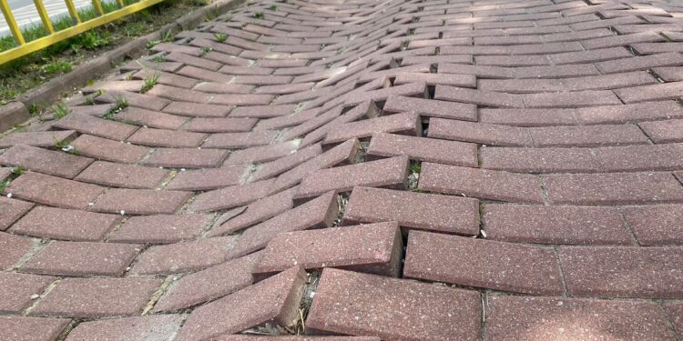 Szczecin: jak po tym jeździć? Droga dla rowerów wzdłuż ul. Duńskiej i Przyjaciół Żołnierza