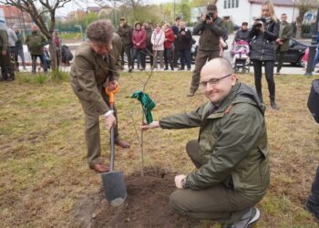 Lasy Państwowe, mieszkańcy i politycy sadzą drzewa