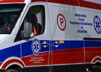 Ratownicy odebrali poród w karetce