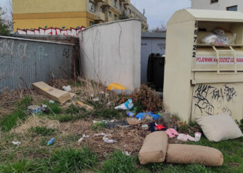 Szczecin: tak wygląda ulica Europejska