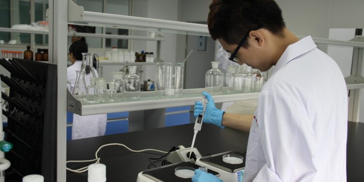 Młodzi szczecinianie dostali się do finału ogólnopolskiego konkursu dla naukowych talentów!