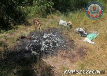 Policjanci zobaczyli czarny dym. Złapali poszukiwanego na wypalaniu kabli