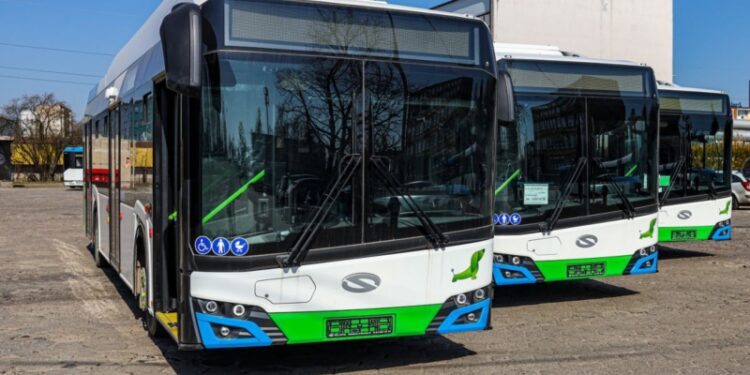 Brakuje 8 milionów złotych na uruchomienie zawieszonych linii w Szczecinie