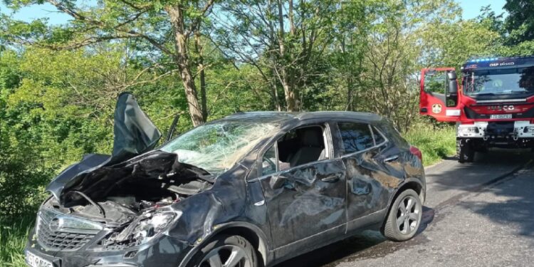 Groźny wypadek z żubrem w roli głównej