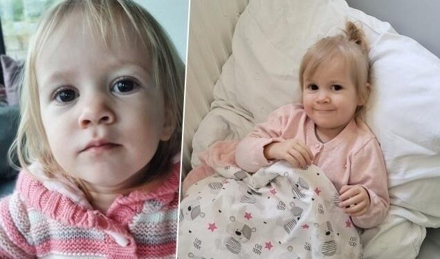 Już w niedzielę w Szczecinie zbiórka na kosztowną operację chorej Michasi