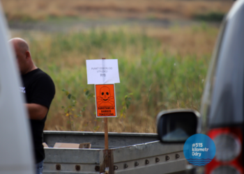 Śnięte ryby w Odrze. Jak wygląda sprawa w województwie?