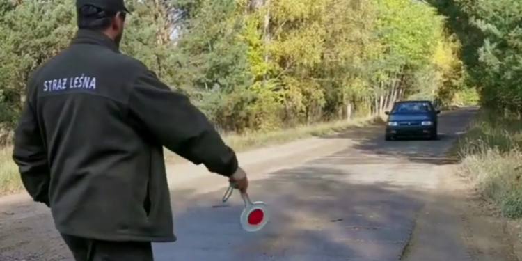 Straż leśna rozpoczęła akcję pod kryptonimem „Jesień 22”. Strażnicy sprawdzą między innymi, czy nie dochodzi do kradzieży drewna