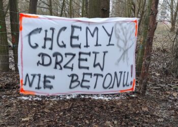 Szczecin: Nie będzie przedszkola przy Przygodnej? „Będziemy rozważali inne warianty”