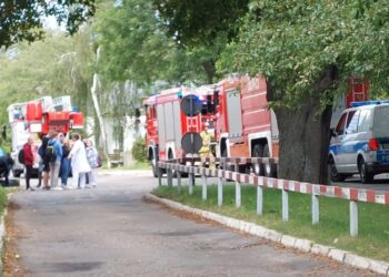 Pożar w „samochodówce” przy Klonowica