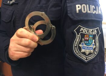 Ukradł hulajnogę i kosmetyki. Grozi mu prawie 8 lat więzienia