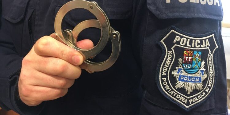 Ukradł hulajnogę i kosmetyki. Grozi mu prawie 8 lat więzienia