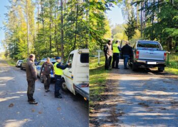 Policja patroluje las. Powód? Kradzieże drewna na niespotykaną dotąd skalę