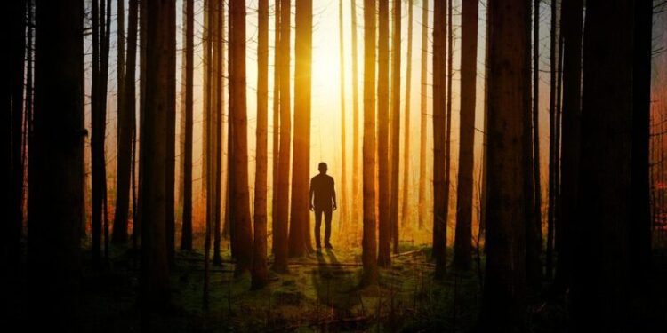 Policjanci odnaleźli starsze małżeństwo, które zagubiło się w lesie podczas grzybobrania