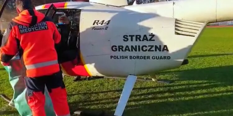 Kobieta zatruła się muchomorem. Straż Graniczna przywiozła jej wątrobę!