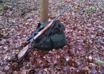 Poważny wypadek na polowaniu. Myśliwy postrzelił organizatora