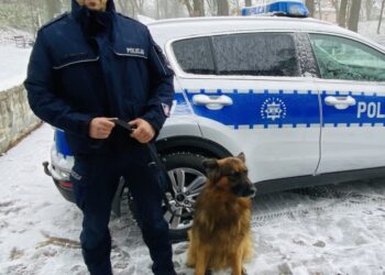 Policyjny pies odnalazł mienie skradzione z myjni samochodowej