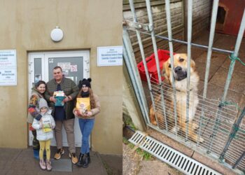 Zamiast petard kupili karmę dla podopiecznych schroniska w Kiczarowie