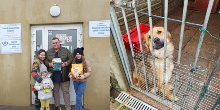 Zamiast petard kupili karmę dla podopiecznych schroniska w Kiczarowie