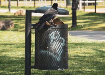 Szczecin: 53-latek ukradł 91 pokryw od śmietników. Grozi mu do 5 lat pozbawienia wolności