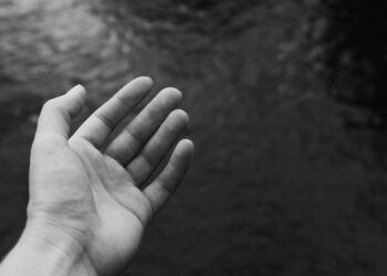 Tydzień Pomocy Osobom Pokrzywdzonym Przestępstwem. Wiele instytucji z ofertą darmowej pomocy prawnej!