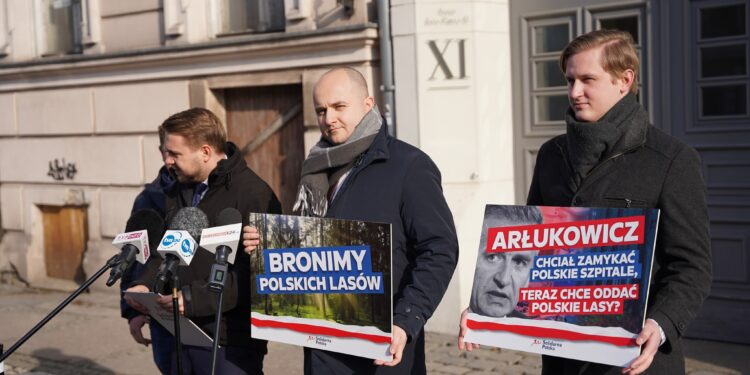 Europosłowie chcą oddać polskie lasy UE? Matecki: „To kolejny krok do federalizacji”