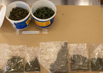 Koszalińscy policjanci przechwycili 6,5 kilograma środków odurzających