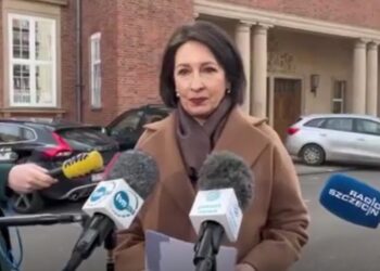 Siłą wciągnął do auta 9-latkę. Mężczyzna usłyszał już zarzuty