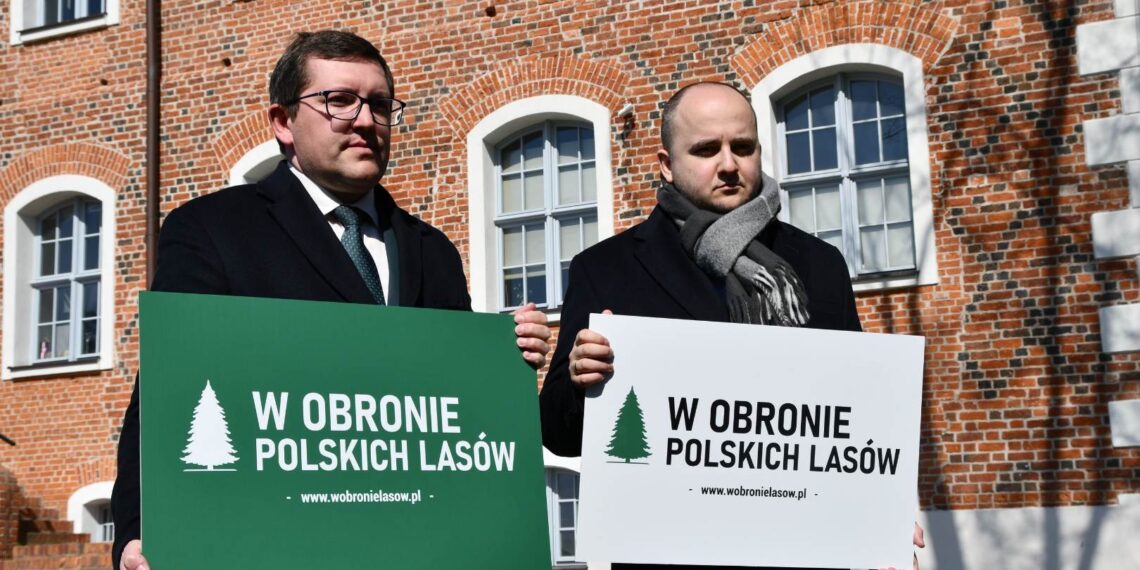 Solidarna Polska w obronie polskich lasów