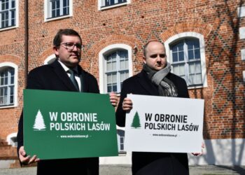 Solidarna Polska w obronie polskich lasów