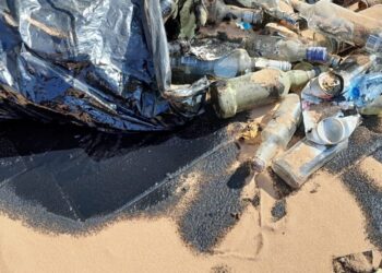 Bulwersujący akt wandalizmu przed siedzibą Nadleśnictwa Gryfino. Rozlany olej, skradziona flaga i wymowna tabliczka