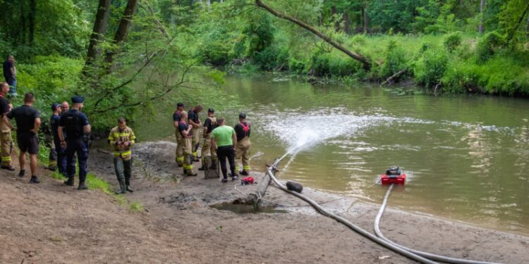 Na rzece Ina pojawiły się śnięte ryby – sprawą zajmie się prokuratura