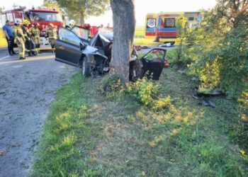 Walka o ludzkie życie i totalny brak empatii – czyli co wydarzyło się pod Kołobrzegiem?