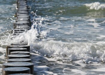 W morzu tonęło dziecko. Na pomoc ruszył policjant z Gryfina
