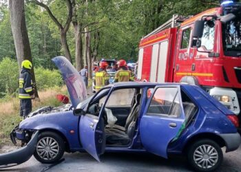 Choszczno: Kot wskoczył na właściciela w samochodzie i przyczynił się do groźnego wypadku