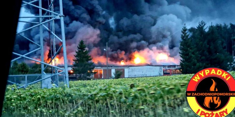 Kołki: ogromny pożar fermy. Nie żyje człowiek i kilka tysięcy zwierząt