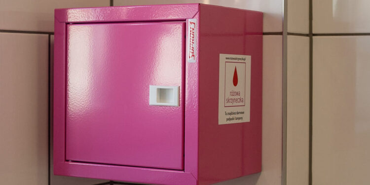 Młodzieżowy Budżet Obywatelski w szczecińskich szkołach ponadpodstawowych zakończony